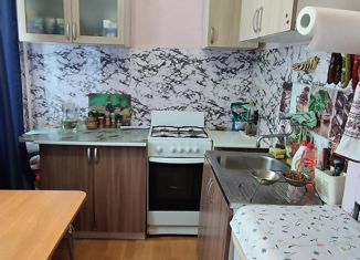Продается 2-ком. квартира, 44.5 м2, Санкт-Петербург, улица Черкасова, 13, улица Черкасова