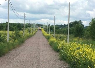 Продается участок, 12 сот., садоводческое некоммерческое товарищество Новое Заостровье, Восточная аллея