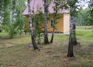 Продажа дома, 43.3 м2, село Миасское, Берёзовая улица