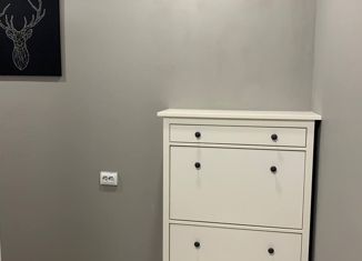 Продажа однокомнатной квартиры, 42 м2, Новосибирск, улица Кирова, 225, метро Речной вокзал