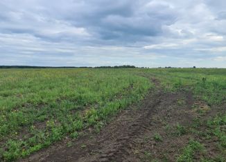 Продается участок, 1000 сот., деревня Шибково, 2-я Лесная улица, 10