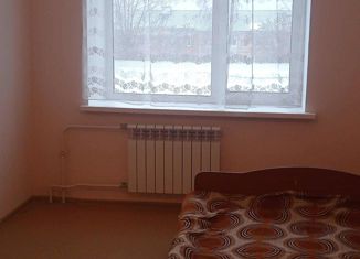 Продается 1-комнатная квартира, 30 м2, посёлок городского типа Петра Дубрава, улица Коммунаров, 6А