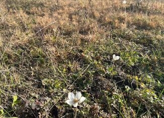 Земельный участок на продажу, 10 сот., Элекмонарское сельское поселение