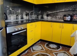 Продается 2-ком. квартира, 45.1 м2, Новосибирск, улица Михаила Перевозчикова, 3, улица Михаила Перевозчикова