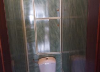 Продается 2-комнатная квартира, 42.1 м2, село Борское, Ленинградский переулок, 6