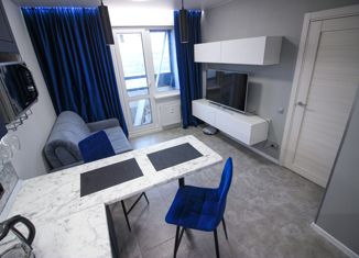 Продается 1-ком. квартира, 28.3 м2, Санкт-Петербург, Северный проспект, 123к1, Северный проспект