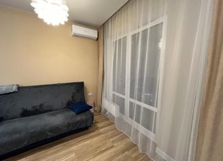 Сдаю 1-ком. квартиру, 40 м2, Иркутск, улица Седова, 71/1, ЖК Четыре Солнца