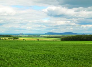 Продаю земельный участок, 16.9 сот., село Кармаскалы, улица Зарипова
