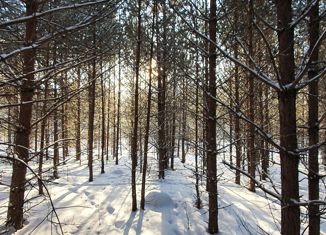 Продаю земельный участок, 24.5 сот., СНТ Аванте