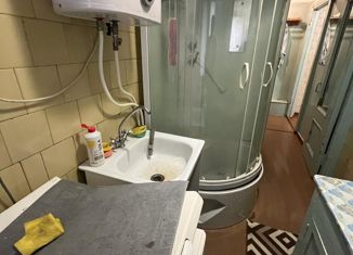 Продажа однокомнатной квартиры, 26 м2, Великие Луки, Октябрьский проспект, 47/9