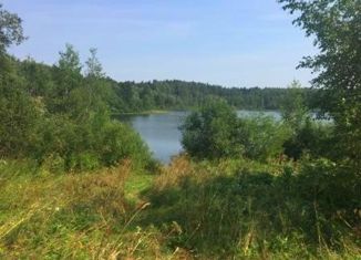 Продам земельный участок, 19 сот., деревня Гагрино