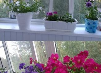 Продажа 4-ком. квартиры, 77 м2, Краснотурьинск, улица Рюмина, 27