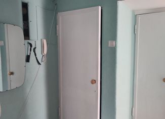 Продаю 2-ком. квартиру, 43.1 м2, Санкт-Петербург, проспект Пархоменко, 27к1, проспект Пархоменко