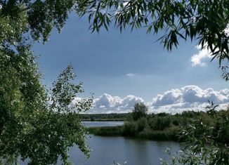 Земельный участок на продажу, 29 сот., посёлок городского типа Камское Устье