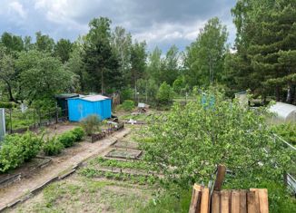 Продажа земельного участка, 4 сот., Саров, 7-й участок, 81