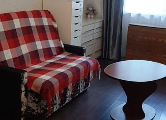 Сдается 1-ком. квартира, 40 м2, Санкт-Петербург, проспект Энергетиков, 35к4, Красногвардейский район