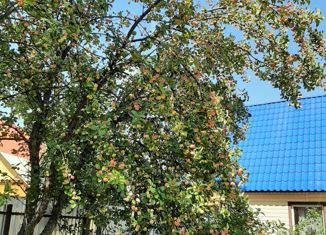 Дом на продажу, 52.1 м2, Екатеринбург, Октябрьский район, садоводческое некоммерческое товарищество Авиатор, 47