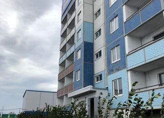 Продам 1-ком. квартиру, 37 м2, село Подстёпки, Полевая улица, 44/1, ЖК Альбатрос