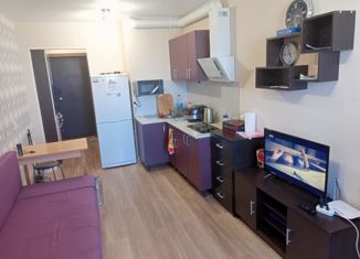 Продажа квартиры студии, 22 м2, Мурино, ЖК Материк, Воронцовский бульвар, 19к1