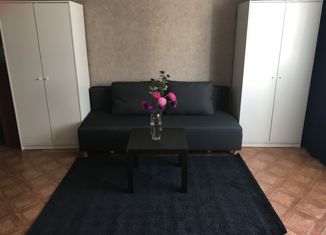 Продаю квартиру студию, 36.8 м2, Новосибирск, улица Татьяны Снежиной, 46/1, Октябрьский район