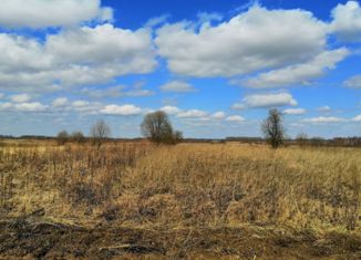 Земельный участок на продажу, 30 сот., деревня Клементьево, Центральная улица