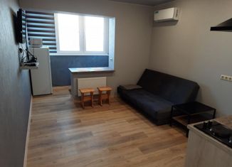 Продается квартира студия, 24 м2, Новосибирск, Воскресная улица, 37, Воскресная улица