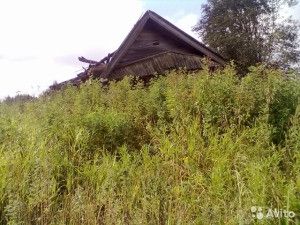 Продаю дом, 60 м2, деревня Кочема