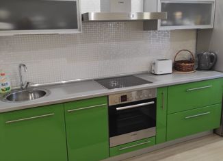 Продаю 1-комнатную квартиру, 48.5 м2, Санкт-Петербург, улица Шелгунова, 7к1, улица Шелгунова