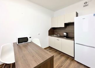 Продам квартиру студию, 24 м2, Санкт-Петербург, Орбитальная улица, 5