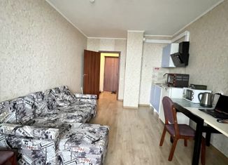 Квартира на продажу студия, 24 м2, Мурино, проспект Авиаторов Балтики, 17, ЖК Охтинская Дуга