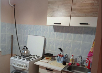 Сдам в аренду 1-комнатную квартиру, 31 м2, Красное Село, улица Свободы, 23