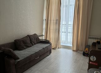 Продается двухкомнатная квартира, 51.6 м2, Новосибирск, Охотская улица, 88/4, ЖК Эволюция