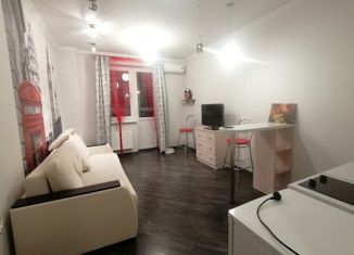 Продам квартиру студию, 25.5 м2, Краснодар, микрорайон Энка (имени Маршала Жукова), улица Александра Покрышкина, 4/7