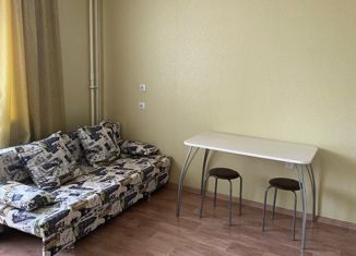 Сдается квартира студия, 25 м2, Челябинск, улица Профессора Благих, 73