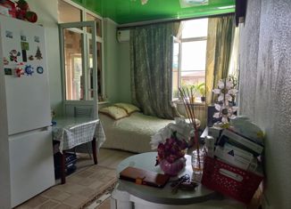 Продается однокомнатная квартира, 25 м2, Сочи, улица Чайкиной, 13/5, микрорайон Соболевка