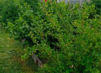 Дом на продажу, 24 м2, коллективный сад № 16, 9-я улица, 37