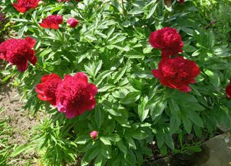 Продается дом, 12 м2, Саров, 5-й проезд