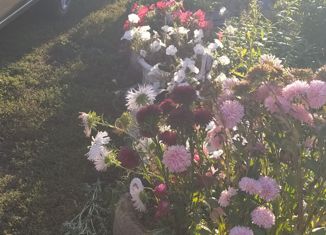 Продаю дом, 63 м2, село Сафарово