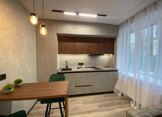 Продается квартира студия, 29.5 м2, Москва, Электролитный проезд, 1к2, метро Нагорная