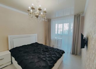 Сдаю в аренду 2-комнатную квартиру, 60 м2, Пятигорск, улица 295-й Стрелковой Дивизии, 8