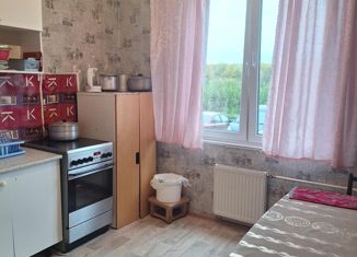 Продам двухкомнатную квартиру, 62 м2, посёлок Шушары, Изборская улица, 3к1