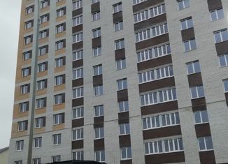 Продажа 2-ком. квартиры, 54.7 м2, деревня Крутые Выселки, Мичуринская улица, 234