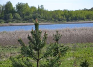 Участок на продажу, 15 сот., деревня Барутино, 28Н-1188