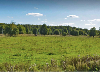 Продаю участок, 8.69 сот., ДНП Коськово