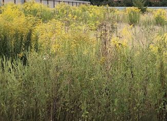 Продам земельный участок, 13.4 сот., село Никоновское