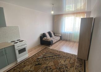 Сдам в аренду квартиру студию, 26 м2, Ростов-на-Дону, переулок Андреева, 9/4