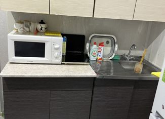 Продаю 1-ком. квартиру, 28 м2, деревня Штанигурт, Глазовская улица, 10