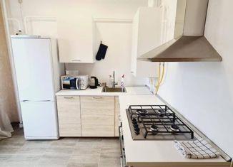 Дом на продажу, 49.5 м2, село Гайдук, Солнечная улица, 22