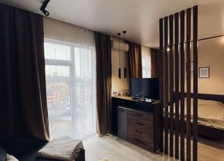 Продается однокомнатная квартира, 30.5 м2, Сочи, Православная улица, 16/1, микрорайон Энергетик-Изумруд