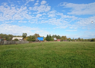 Продается участок, 20 сот., деревня Бор, Рябиновая улица